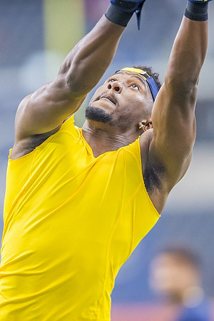 Michigan Player