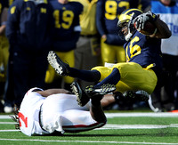 Denard Robinson (16)