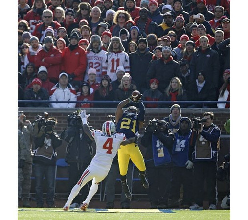 Jeremy Gallon (21)