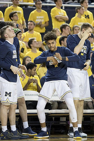 Michigan Team