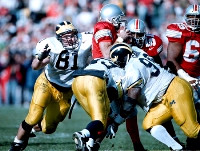 Glen Steele (81), Marcus Ray (29), and William Carr (96)