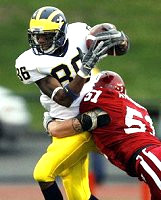 Mario Manningham