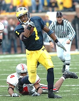 Braylon Edwards (1)