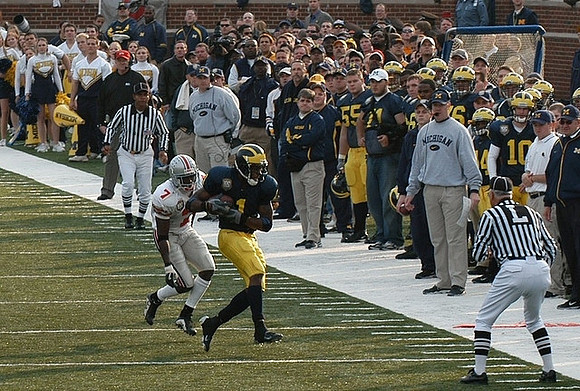 Braylon Edwards (1)