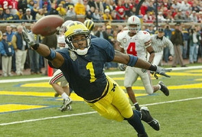 Braylon Edwards (1)