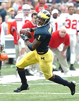 Braylon Edwards (1)