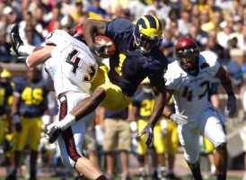 Braylon Edwards (1)