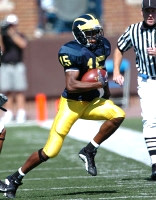 Steve Breaston (15)