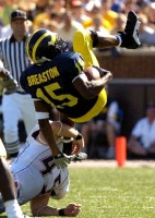 Steve Breaston (15)