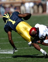 Braylon Edwards (1)