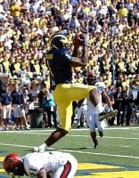 Braylon Edwards (1)