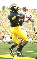 Mario Manningham