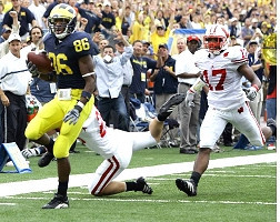 Mario Manningham