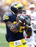 Mario Manningham