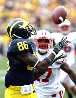 Mario Manningham