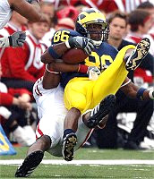 Mario Manningham