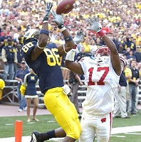 Mario Manningham