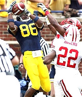 Mario Manningham