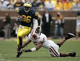 Mario Manningham