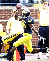 Mario Manningham