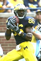 Mario Manningham