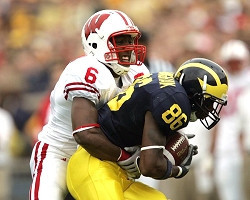 Mario Manningham