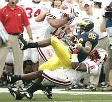 Mario Manningham