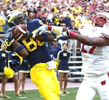 Mario Manningham