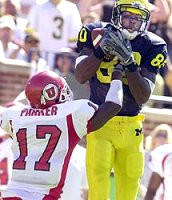 Braylon Edwards (80)