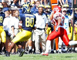 Braylon Edwards (80)