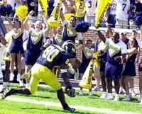 Braylon Edwards (80)