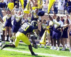 Braylon Edwards (80)