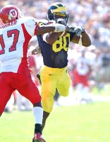 Braylon Edwards (80)