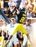 Braylon Edwards (80)