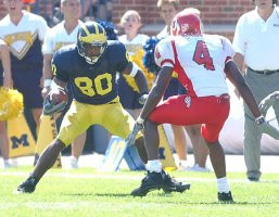 Braylon Edwards (80)