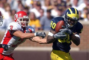 Braylon Edwards (80)