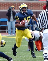 Steve Breaston (15)