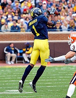 Braylon Edwards (1)