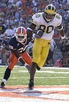 Braylon Edwards (80)