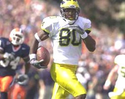Braylon Edwards (80)