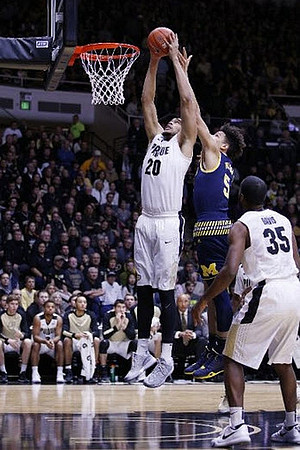 D.J. Wilson (5)
