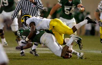Stevie Brown