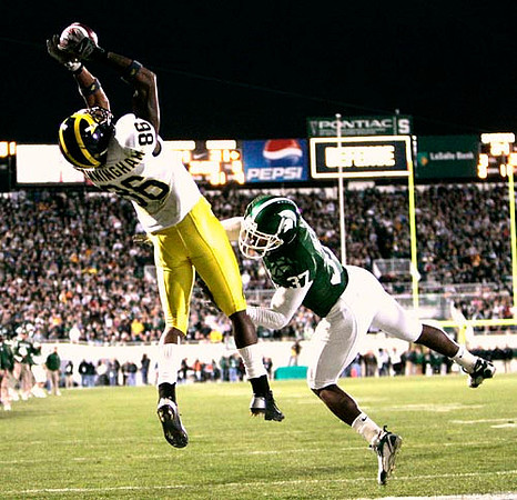 Mario Manningham