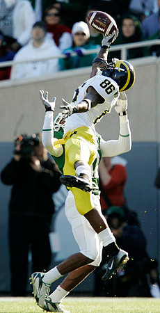 Mario Manningham