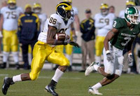 Mario Manningham