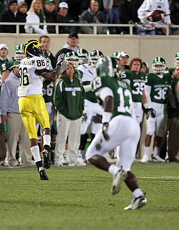 Mario Manningham