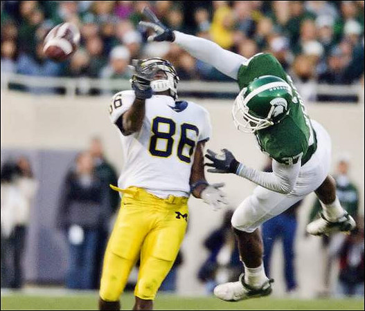 Mario Manningham
