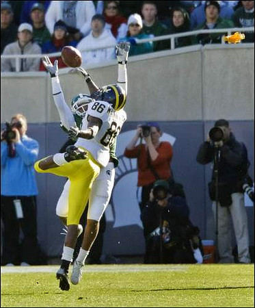 Mario Manningham