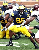 Mario Manningham