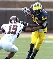 Mario Manningham
